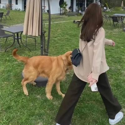 家有父母