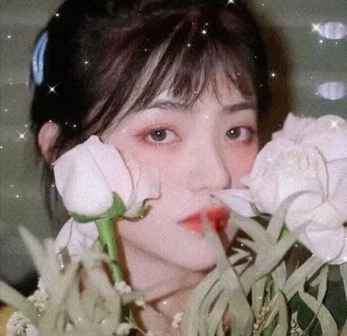 行尸走肉：存活之人
